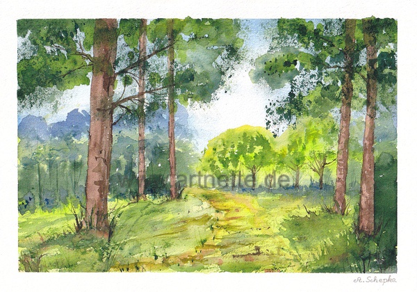 Aquarell eines sonnenbeschienenen Waldwegs umgeben von grünen Bäumen und Sträuchern an einem klaren Tag.